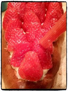 Panette aux fraises, recette au thermomix