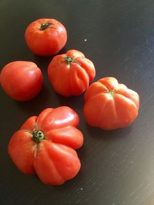 Sauce tomate, recette au thermomix