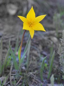 Et si on revenait voir le printemps?