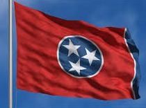 The Tennessee vineyard