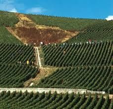 Champagne Producers french dept Aisne France