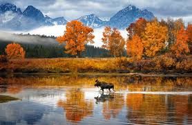Tourism in Wyoming
