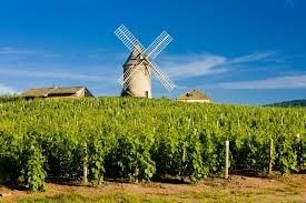 Region Beaujolais & Beaujolais Producers