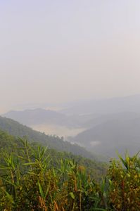 Brèves du Laos