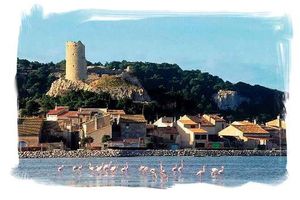 An article about a beautiful place to visit in Aude: Gruissan.