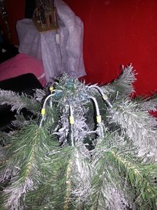 Mon beau sapin, humhum !