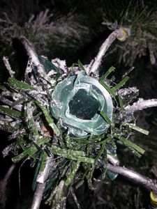 Mon beau sapin, humhum !