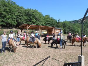 Sortie Poney