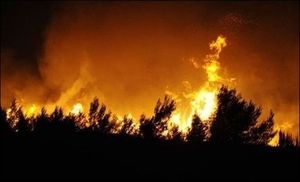 Incendies de Villagerel (3)