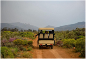 The beautiful side of South Africa