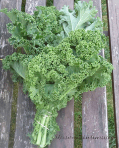 Le chou kale, un légume tendance