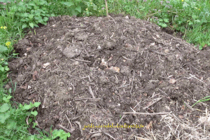 Du compost pour nourrir le sol