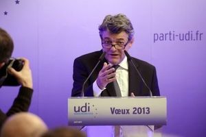 Borloo veut faire participer les citoyens au projet politique de l'UDI