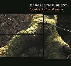 ils hurlent de nouveau ... les marcassins