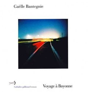 Voyage à Bayonne, de Gaëlle Bantegnie