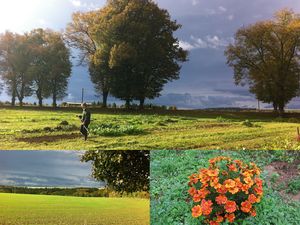Photos et vidéos du chantier d'automne