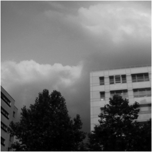 Workshop # 8 - L'immobilier en question