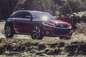 DS Wild Rubis...un pas en Europe?