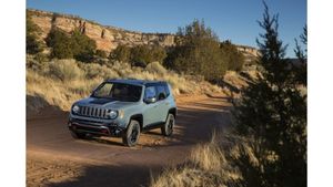 Jeep Renegade...un de plus!