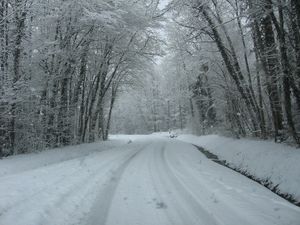 L'hiver vient