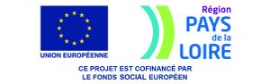 Dynamique de travail en réseau entre centres de formation départementaux