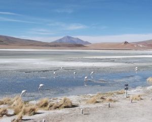 J 107 - 115 (Sud Lipez)