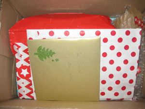 Swap de Noël - Gâtée par...