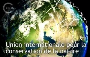 Madagascar: préservez la Nature, s'il vous plaît !