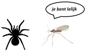 L'instant néerlandais du jour (2014_11_04)