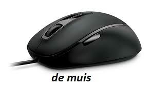 L'instant néerlandais du jour (2015_02_03)