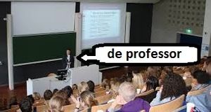 L'instant néerlandais du jour (2015_03_13): de professor