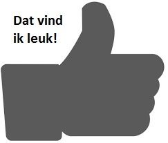 L'instant néerlandais du jour (2015_03_19): dat vind ik leuk!