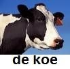 L'instant néerlandais du jour (2015_04_15): de koe