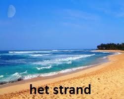 L'instant néerlandais du jour (2015_06_22): het strand