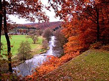 L'instant néerlandais du jour (2015_10_26): de herfst