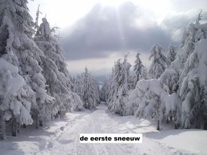 L'instant néerlandais du jour (2015_11_23): de eerste sneeuw