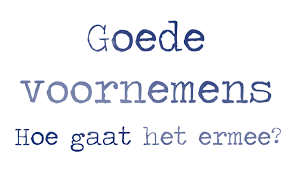 L'instant néerlandais du jour (2016_01_07): Goede voornemens