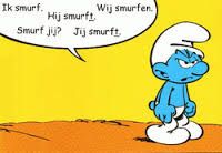 L'instant néerlandais du jour (2016_02_15): le verbe zijn