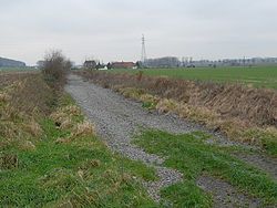 Lu pour vous par Guilaine et Tessy (2016_02_23): construire une piste cyclable