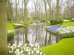 L'instant néerlandais du jour (2016_03_22): de lente
