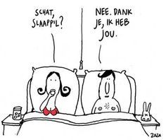 L'instant néerlandais du jour (2016_04_22): Ik neem ook geen slaappil