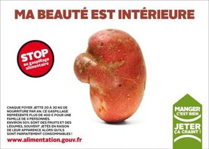 2014, année européenne contre le gaspillage alimentaire