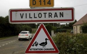 Quand des canards volent au secours des hommes