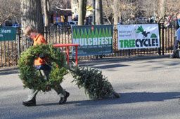 New York recycle ses sapins de Noël