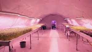 Réhabilitation de lieux improbables à Paris et Londres.