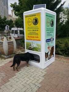 Comment Istanbul recycle de façon insolite ses bouteilles plastiques.