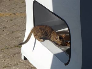 Comment Istanbul recycle de façon insolite ses bouteilles plastiques.
