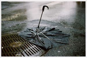Un petit coin de parapluie