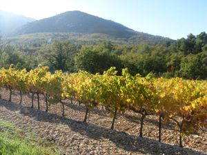 Un menu d'automne