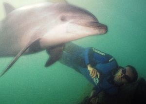 Comment nager avec les dauphins